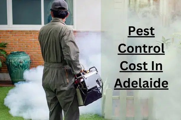 How-Much-Does-Pest-Control-Cost-in-Adelaide